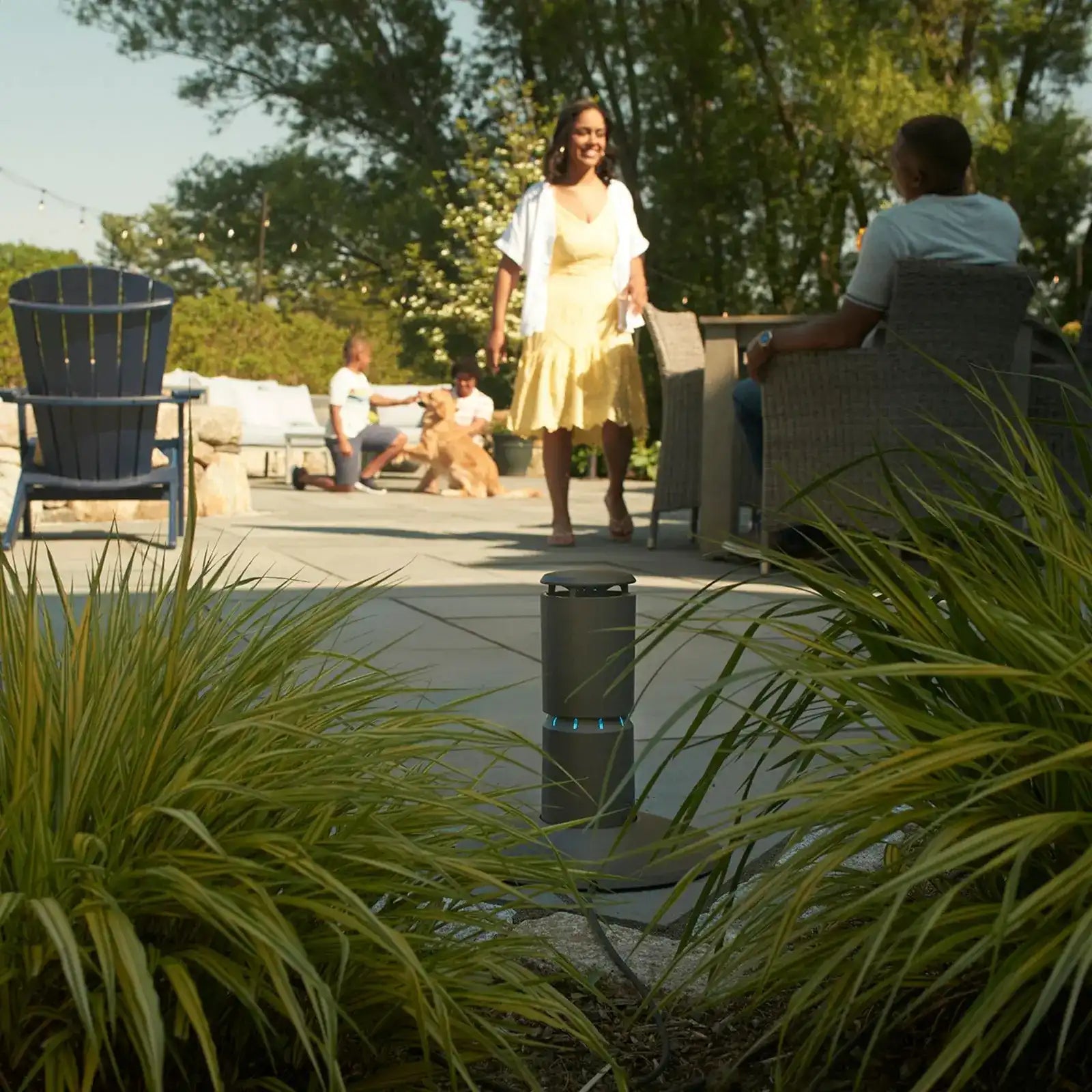LIV Hardscape Base - Image 4
